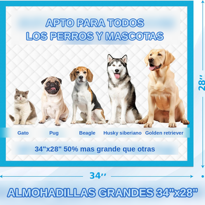 Absorción rápida para una mayor Protección