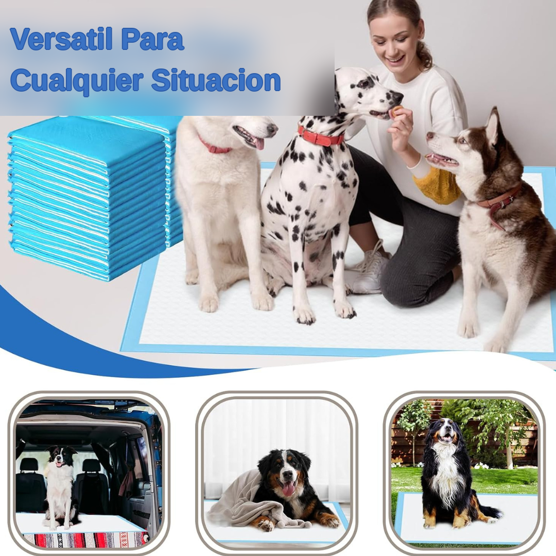 Absorción rápida para una mayor Protección