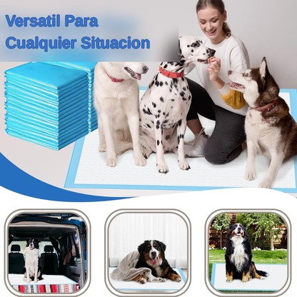 Absorción rápida para una mayor Protección
